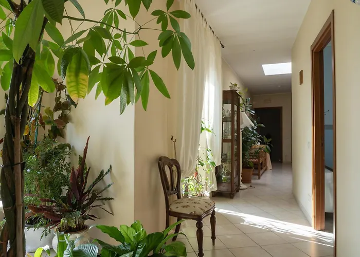 Iris Bed & Breakfast