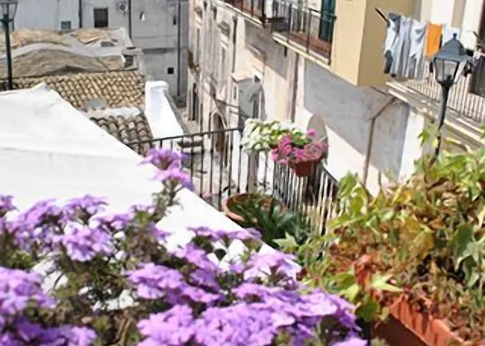 Iris Bed & Breakfast